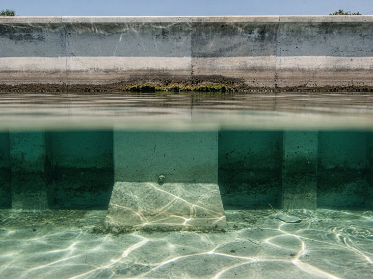 Free Seawall Inspection in Tampa, FL